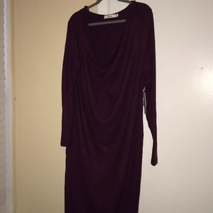 Gorgeous Cowl Neck Long Sleeve Dress